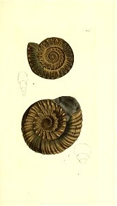 n364_w1150