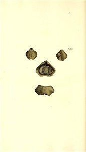 n261_w1150