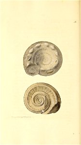 n215_w1150