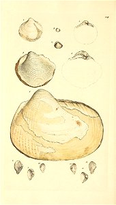 n33_w1150