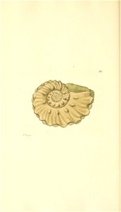 n149_w1150
