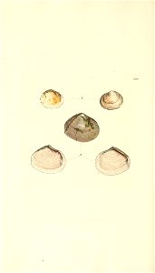 n353_w1150