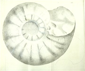 n189_w1150