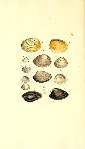 n399_w1150