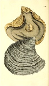 n213_w1150