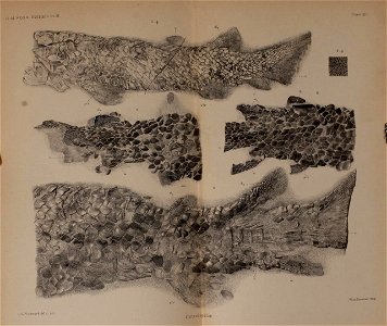 n696_w1150