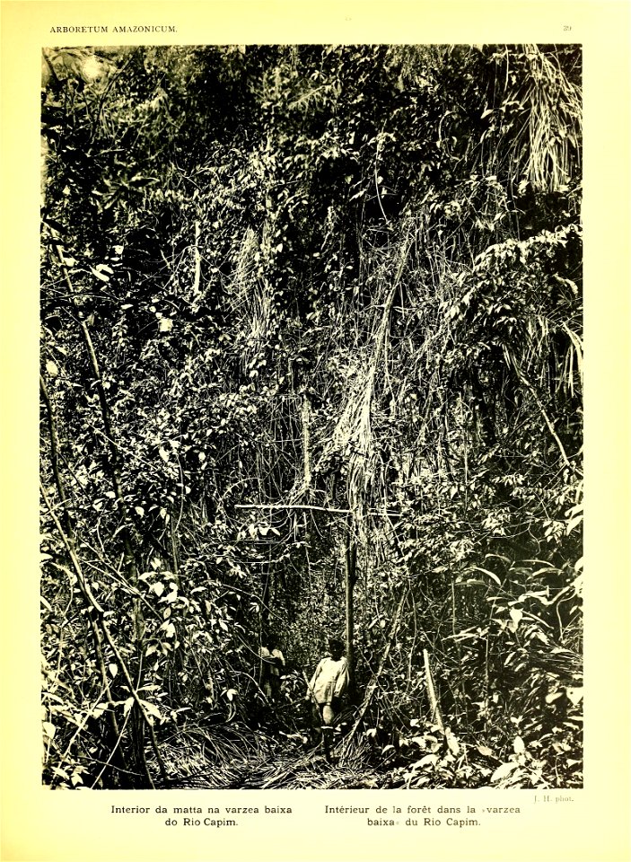 n36_w1150