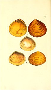 n265_w1150