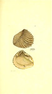 n396_w1150