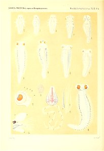 n167_w1150