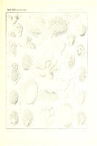 n152_w1150