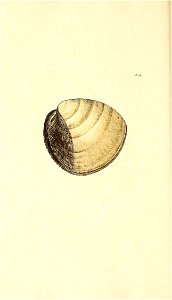 n193_w1150