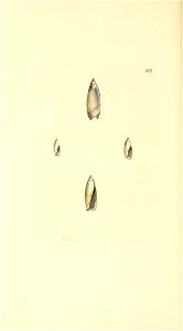 n451_w1150