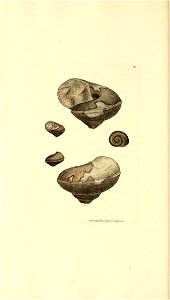 n59_w1150