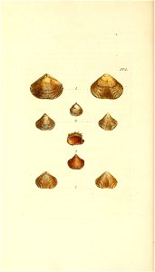 n367_w1150
