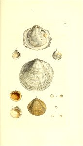 n254_w1150