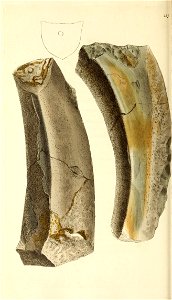 n193_w1150
