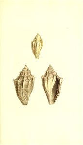 n334_w1150