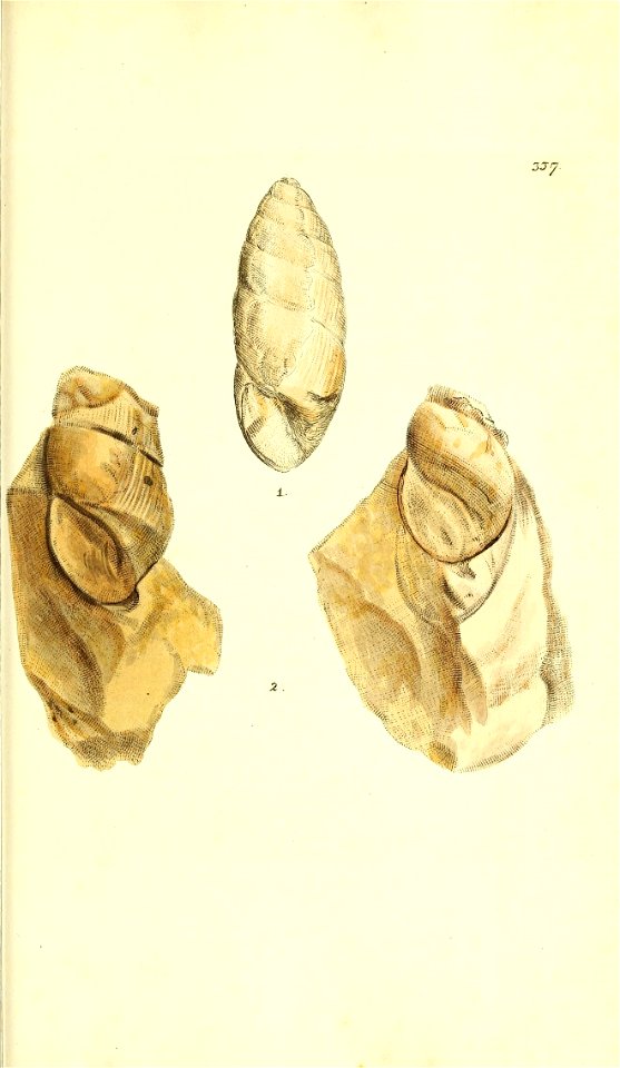n114_w1150