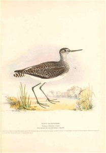 n50_w1150