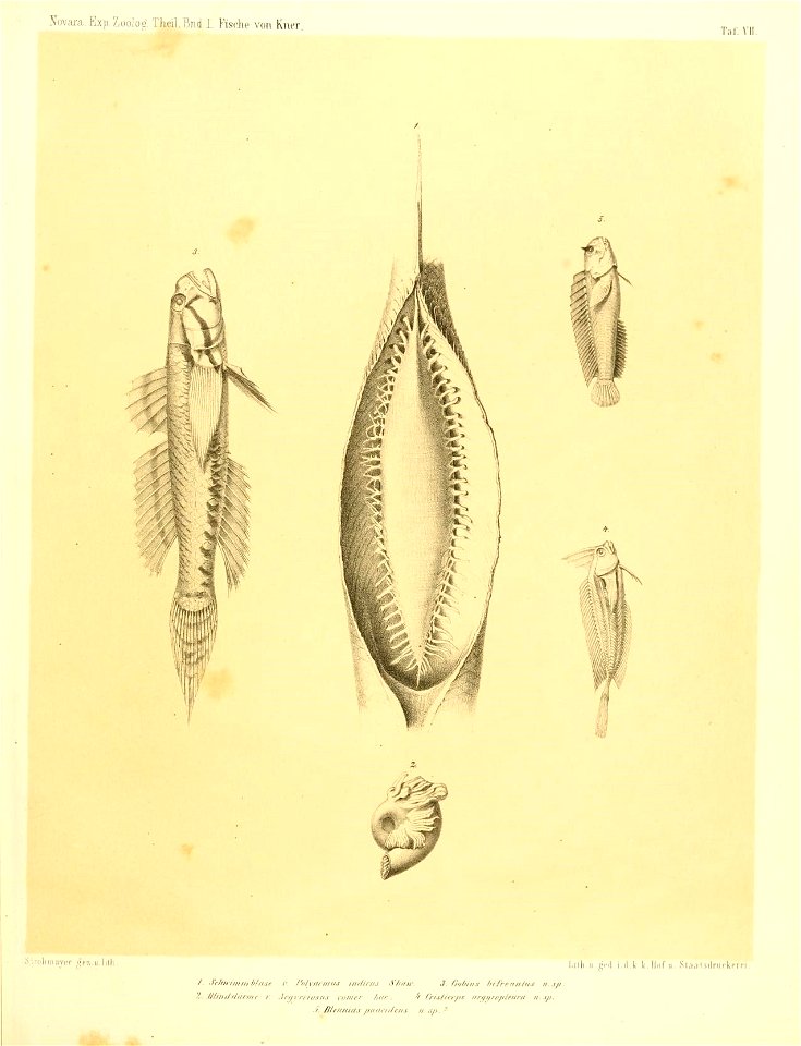 n456_w1150