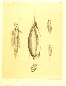 n456_w1150