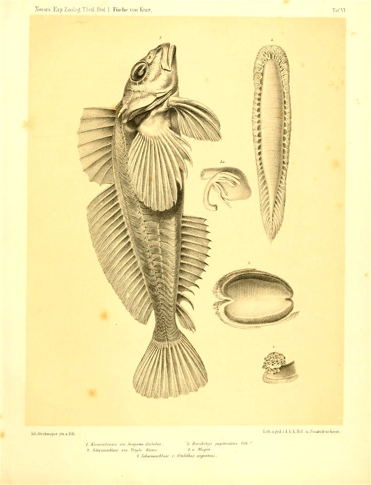 n454_w1150