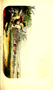 n270_w1150