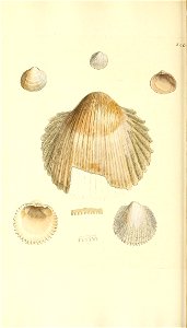 n149_w1150