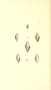 n397_w1150