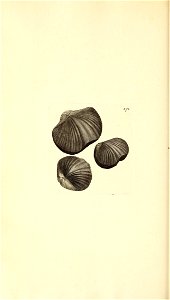n279_w1150