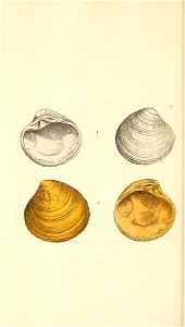 n221_w1150