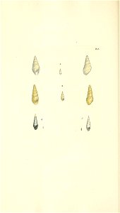 n155_w1150
