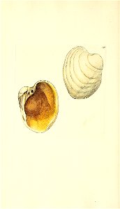 n417_w1150
