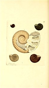 n419_w1150
