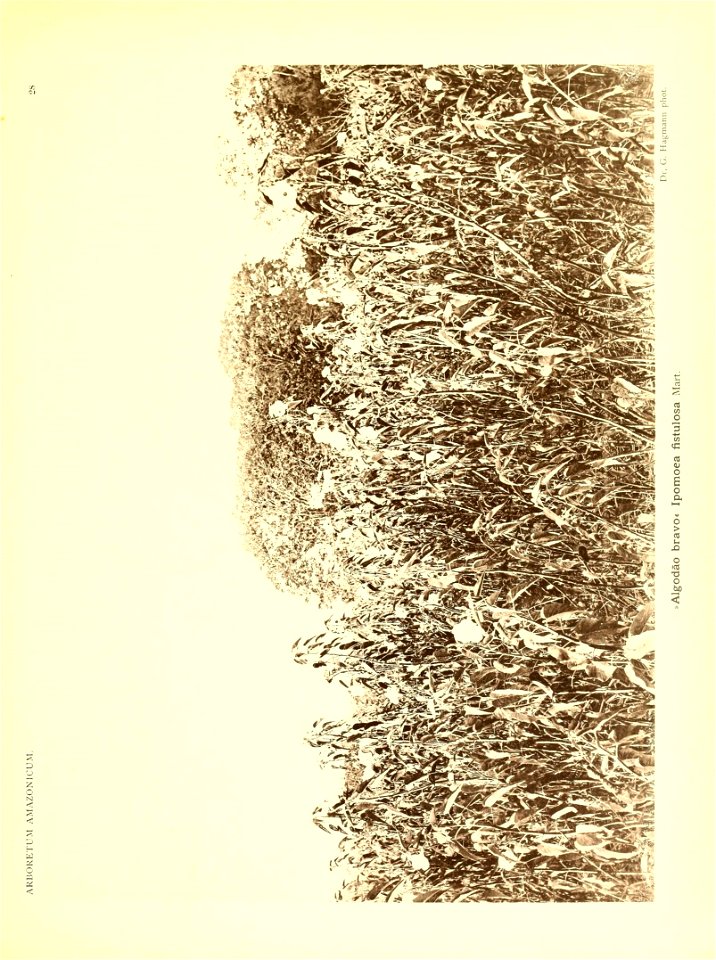 n40_w1150