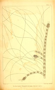 n110_w1150