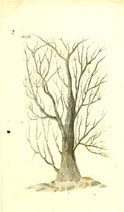 n128_w1150
