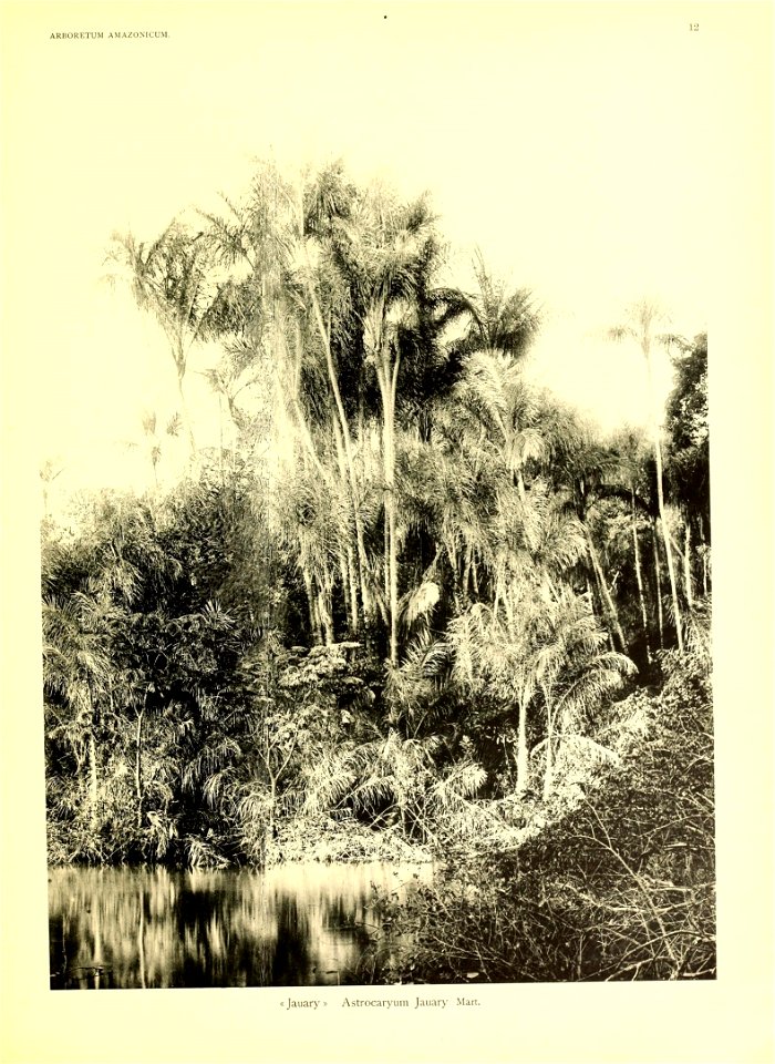 n8_w1150