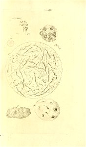 n156_w1150