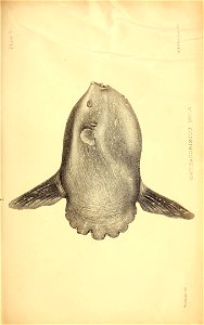 n96_w1150