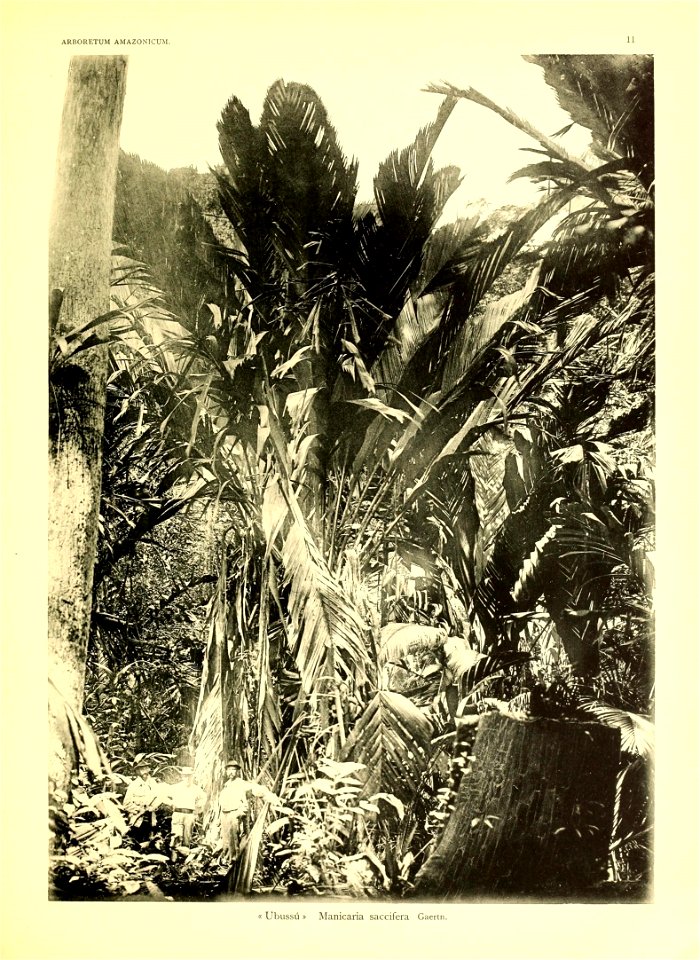 n4_w1150