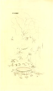 n154_w1150