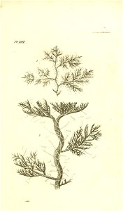 n34_w1150