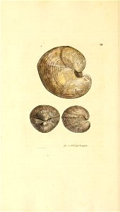n139_w1150