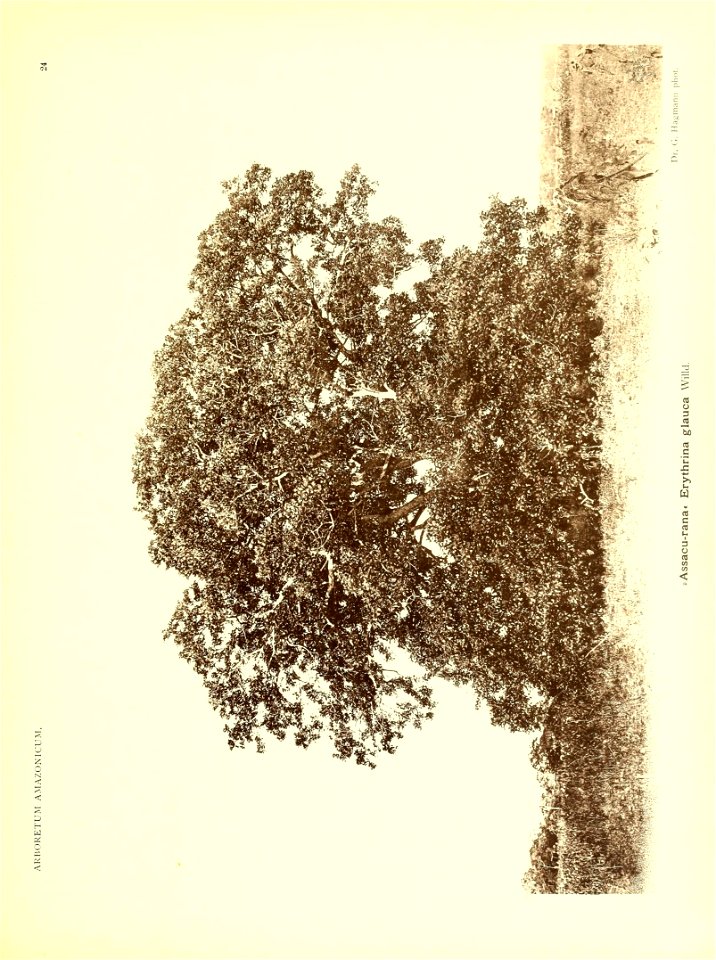 n24_w1150