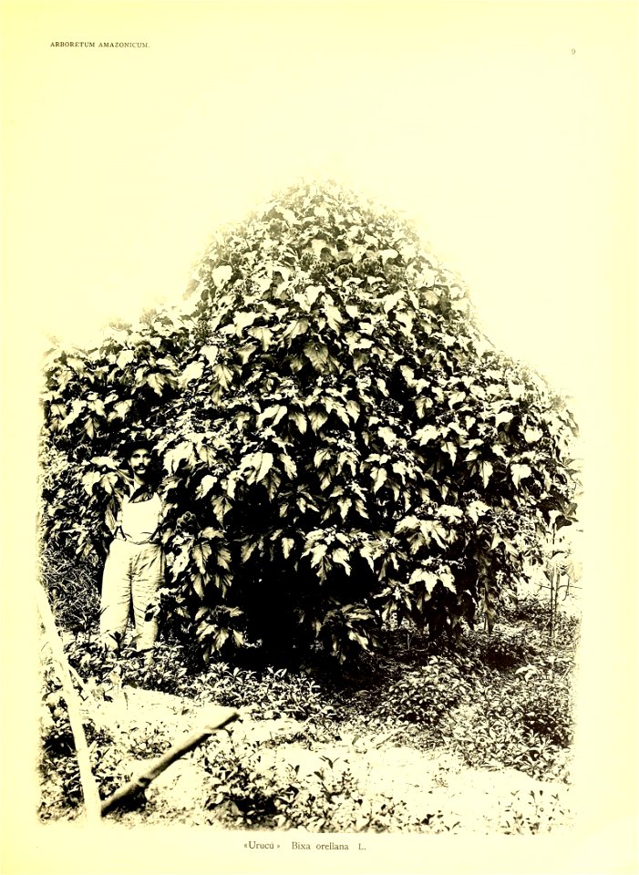 n36_w1150