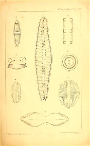 n208_w1150