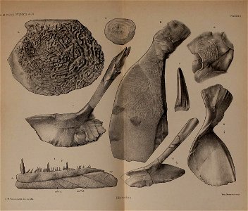 n688_w1150