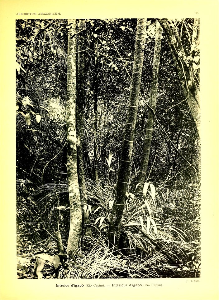n32_w1150